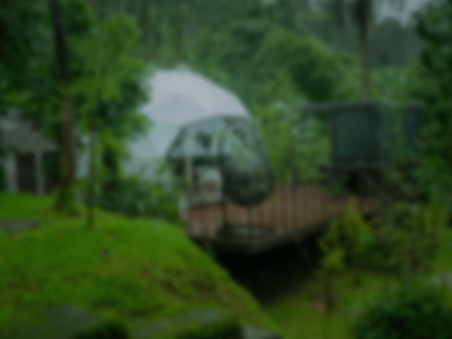 Vacation Stories backgorund 2